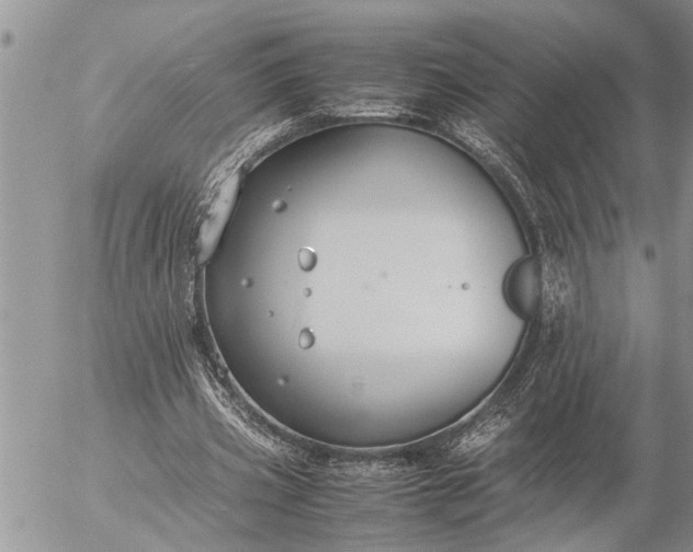 X0000057060533200509231534