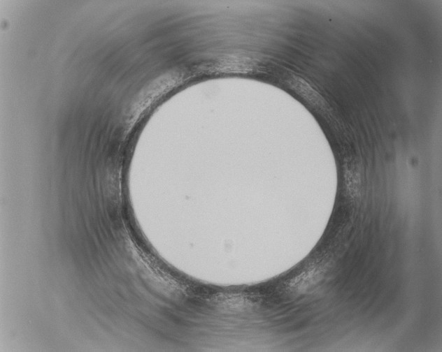 X0000057060534200509231534