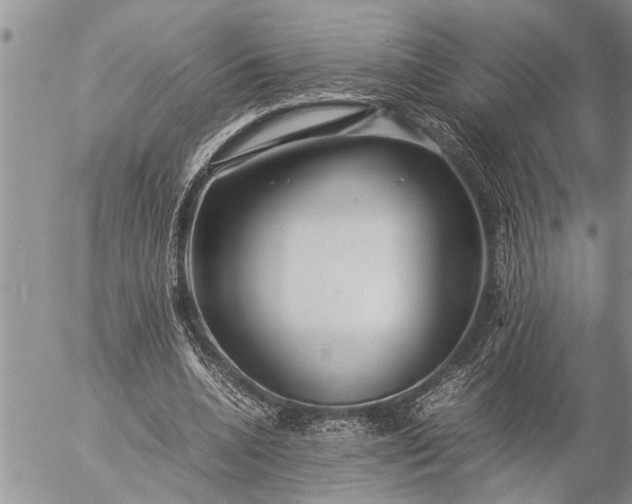 X0000057060536200509231534