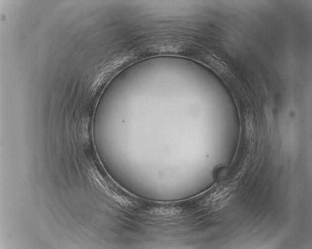 X0000057060537200509231534