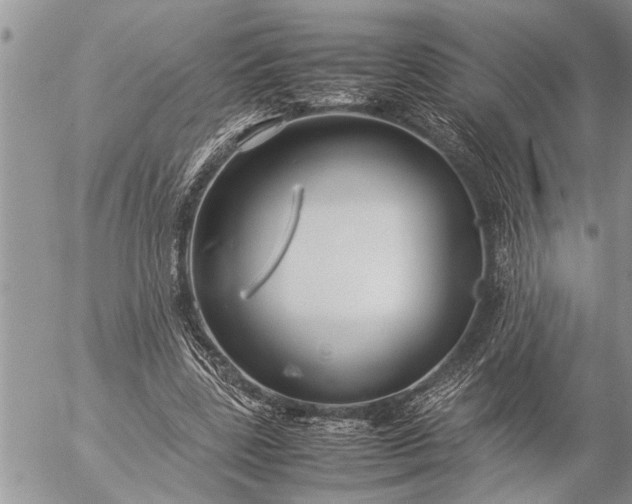 X0000057060539200509231534