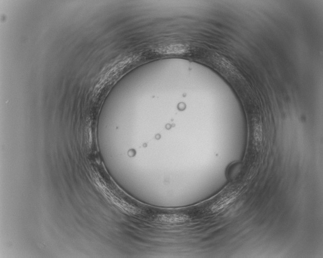 X0000057060541200509231535