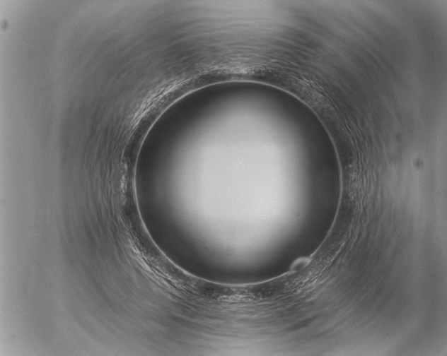 X0000057060544200509231535