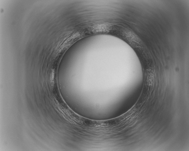 X0000057060550200509231535