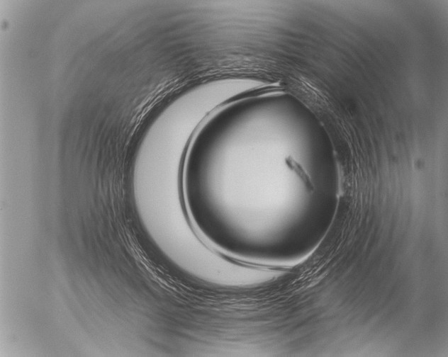 X0000057060552200509231535