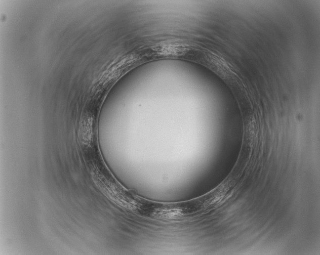 X0000057060554200509231535