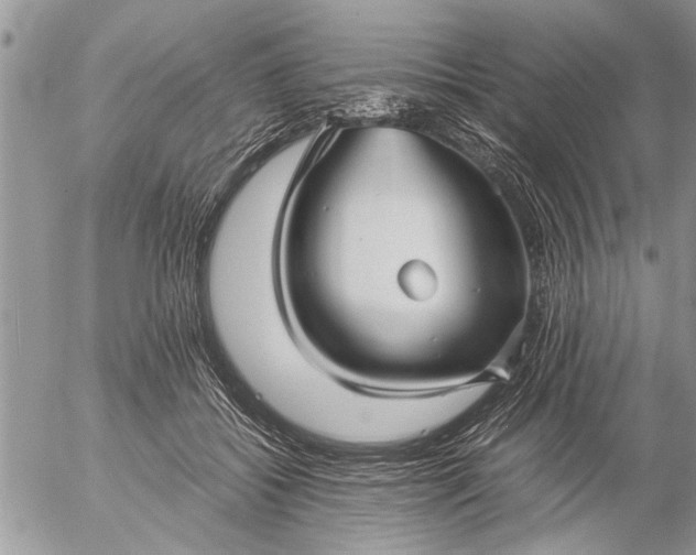 X0000057060556200509231535