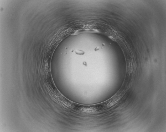 X0000057060557200509231535