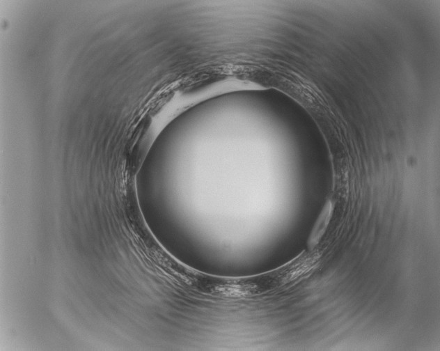 X0000057060558200509231535