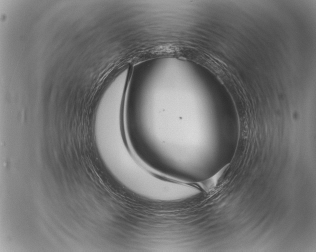 X0000057060560200509231535