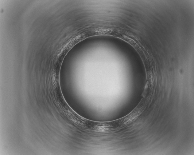 X0000057060564200509231535