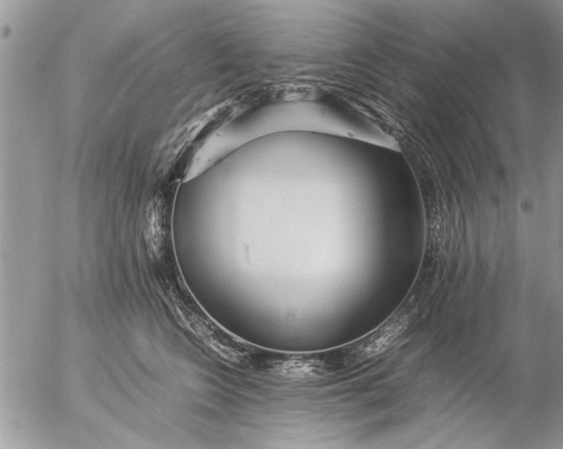 X0000057060566200509231535