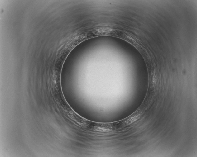 X0000057060567200509231535