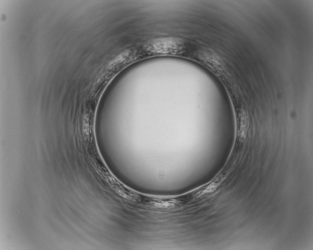 X0000057060569200509231535