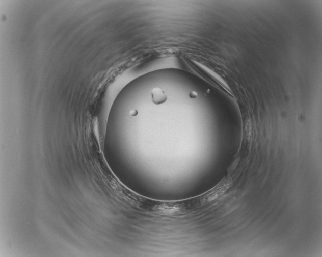 X0000057060570200509231535