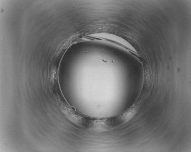 X0000057060574200509231535