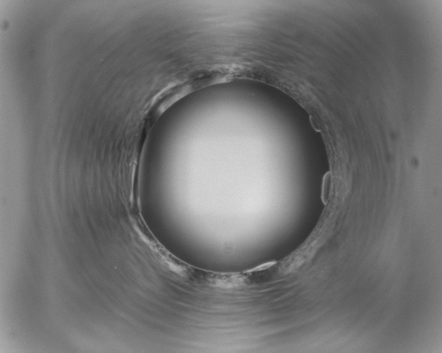 X0000057060576200509231535