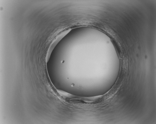 X0000057060577200509231534