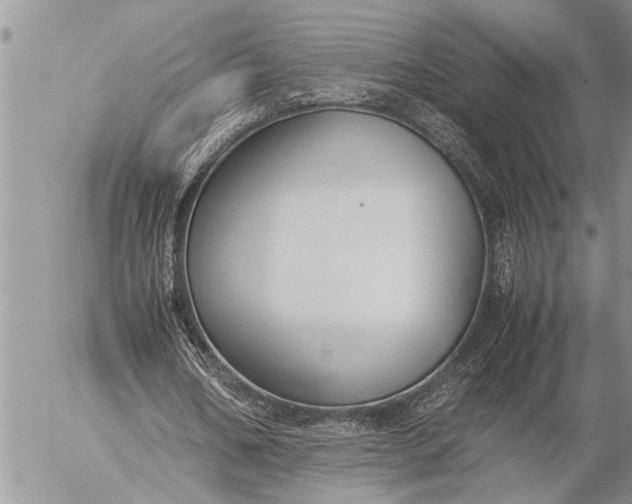 X0000057060578200509231534