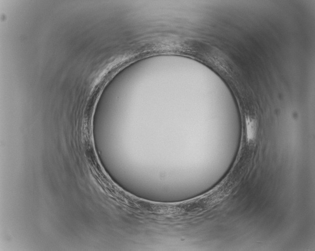 X0000057060579200509231534