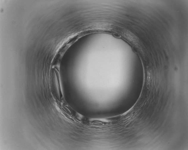 X0000057060580200509231534