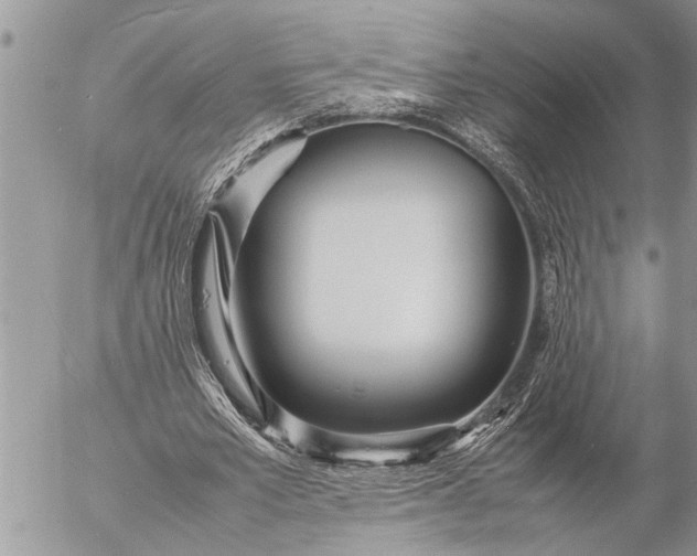 X0000057060581200509231534