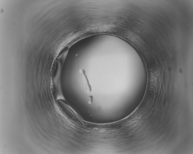 X0000057060582200509231534