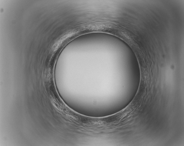 X0000057060583200509231534