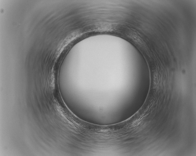 X0000057060584200509231534