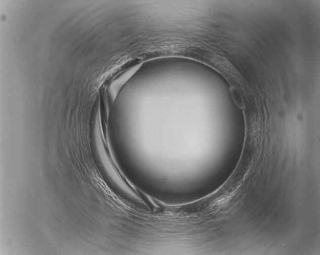 X0000057060585200509231534