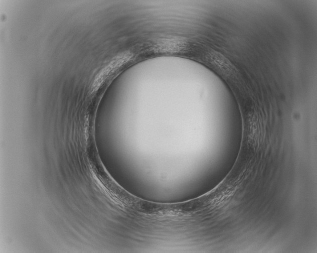 X0000057060586200509231534