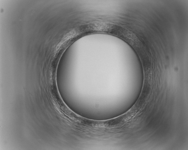 X0000057060587200509231534