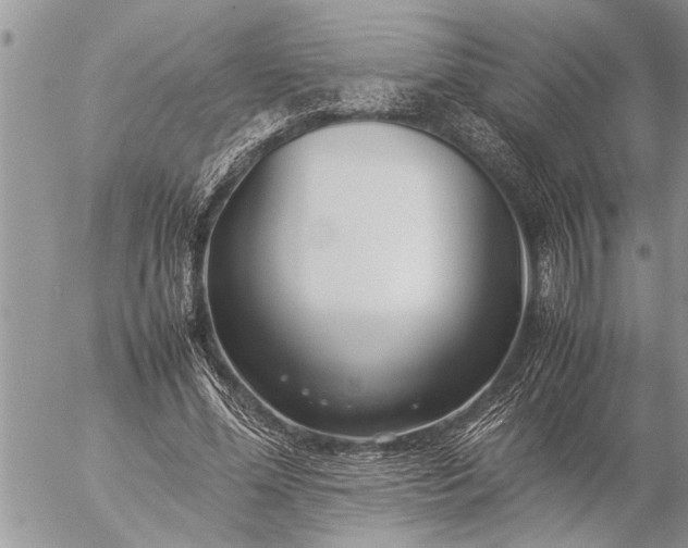 X0000057060588200509231534