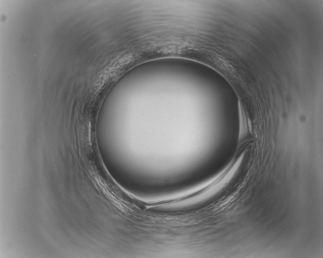 X0000057060589200509231534