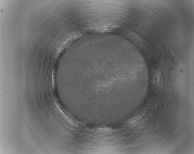 X0000057060590200509231534