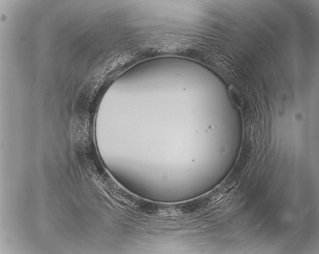 X0000057060591200509231534