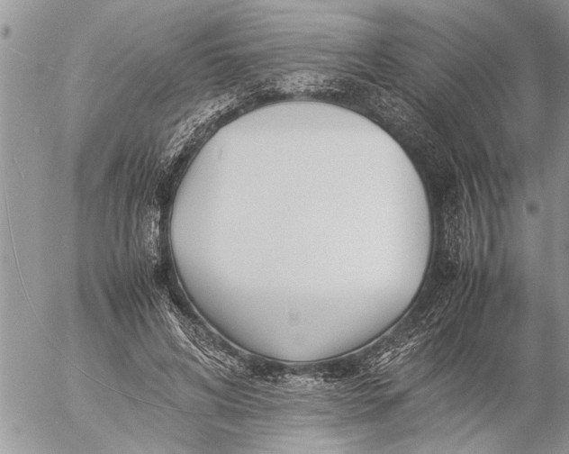 X0000057060592200509231534