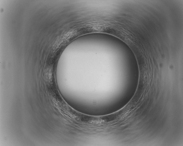 X0000057060595200509231534