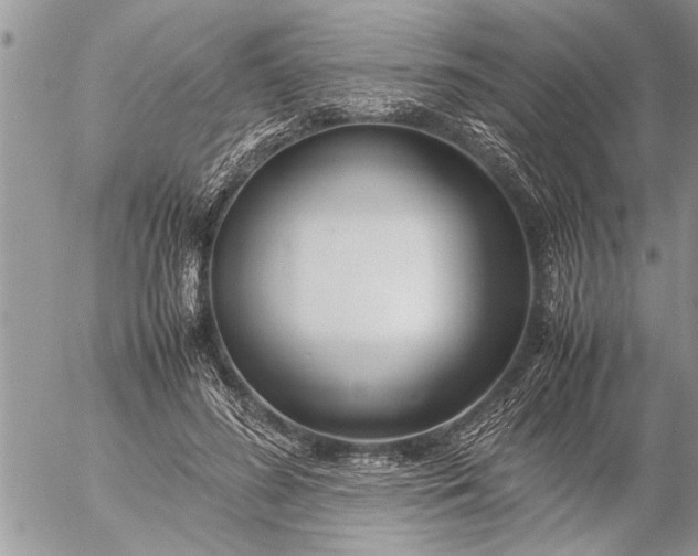 X0000057060596200509231534