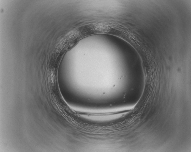 X0000057060597200509231534