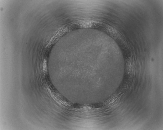 X0000057060598200509231534