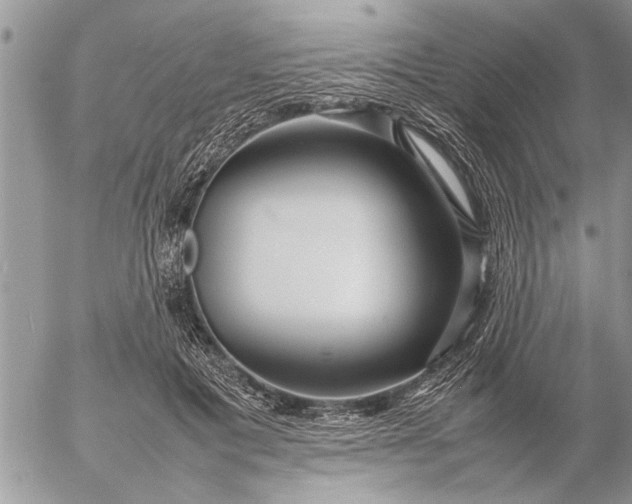 X0000057060601200509231534