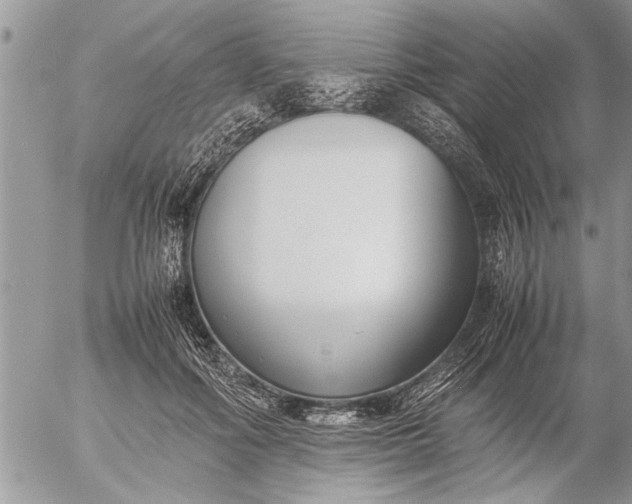 X0000057060602200509231534