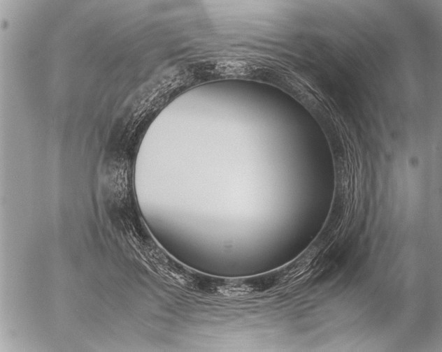 X0000057060603200509231534