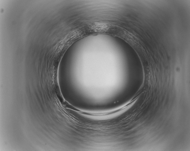 X0000057060604200509231534