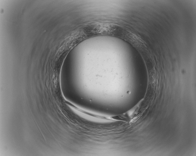 X0000057060607200509231534