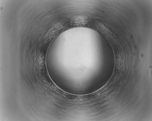 X0000057060608200509231534