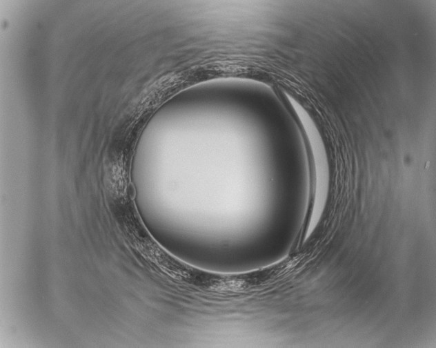 X0000057060609200509231534