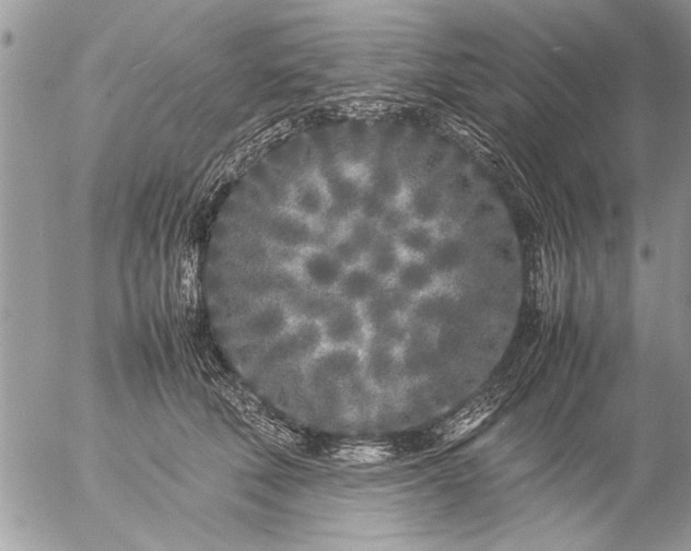 X0000057060610200509231534