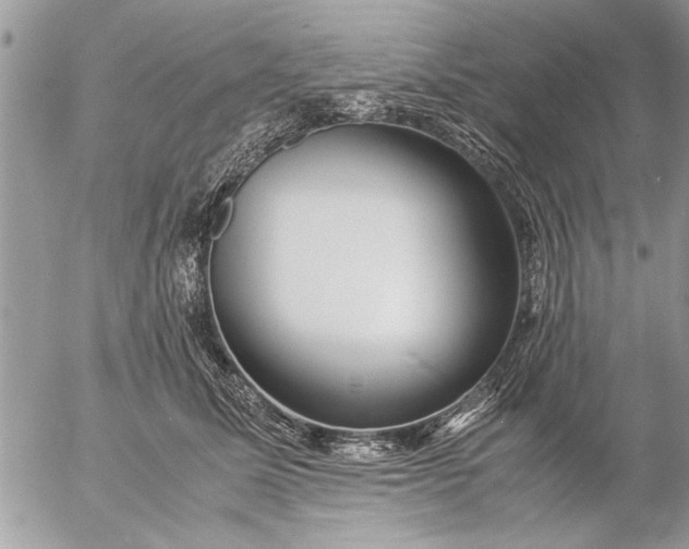 X0000057060611200509231534